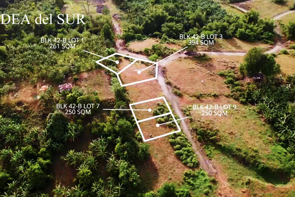 Aldea del Sur Lot Plan in Taal View Heights Tagaytay